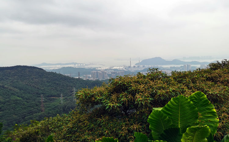 激扬青春、奋勇攀登登山活动